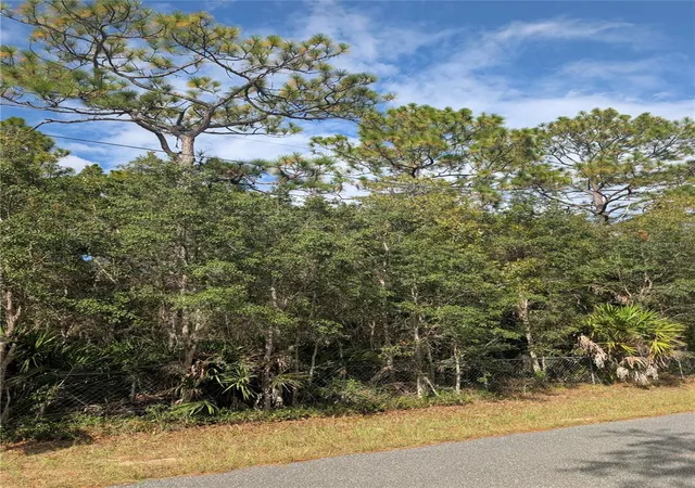 Homes for sale in Homosassa, FL | 6499 W Heritage Dr, Homosassa, FL 34448 | MLS# W7879578