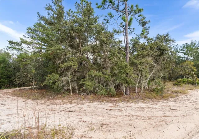 2nd image of 0 Ne 75 St, Bronson, FL 32621 | MLS# GC534548