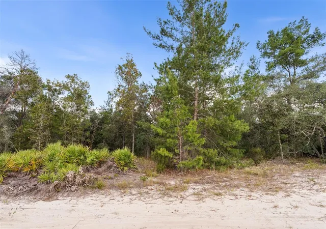 Photo 3 of Land for sale at 0 Ne 75 St, Bronson, FL 32621 | MLS# GC534548 | Listing updated on 2026-09-24