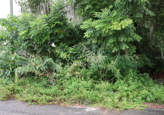 Land for sale at 3330 SE 11th Avenue, OCALA, FL 34471 | MLS# C7515910