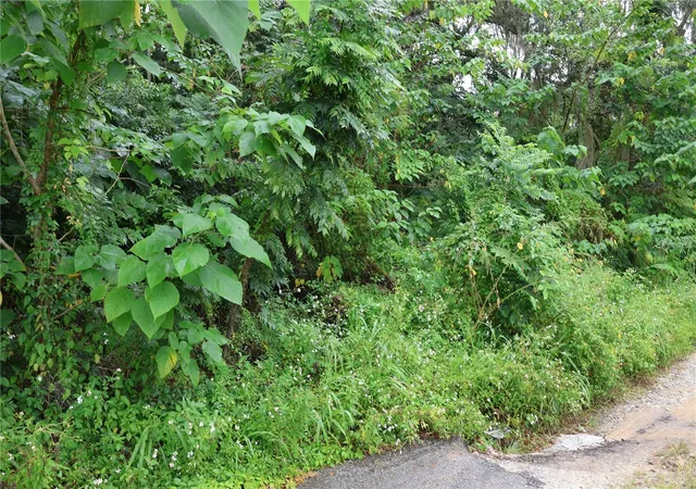 Photo 3 of Land for sale at 3330 Se 11th Avenue, Ocala, FL 34471 | MLS# C7515910 | Listing updated on 2026-08-25