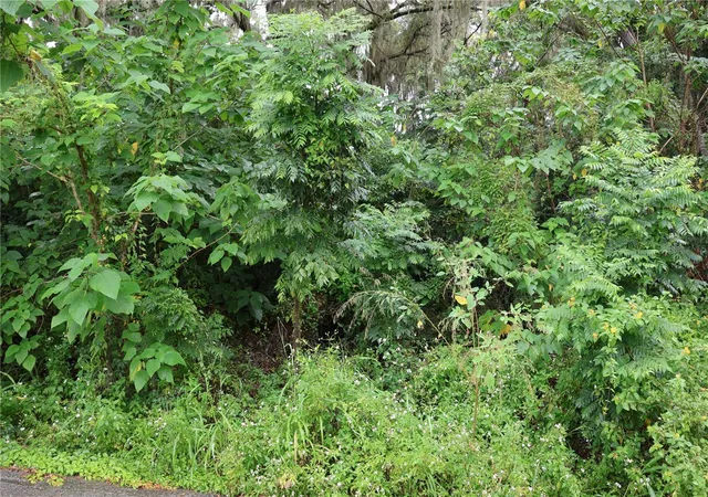 Photo 4 of Land for sale at 3330 SE 11th Avenue, Ocala, FL 34471 | MLS# C7515910 | Listing updated on 2026-08-25