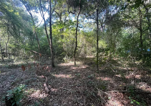 Photo 2 of Land for sale at 521 NE 31st Street, Ocala, FL 34479 | MLS# OM711000 | Listing updated on 2026-07-08
