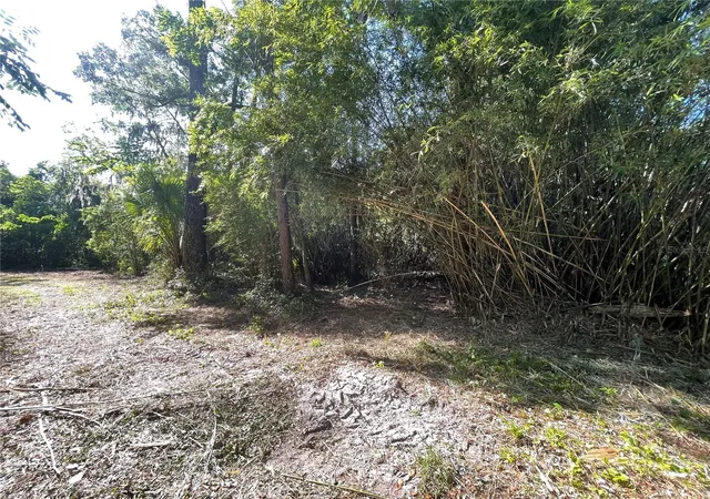 Photo 3 of Land for sale at 521 NE 31st Street, Ocala, FL 34479 | MLS# OM711000 | Listing updated on 2026-07-08