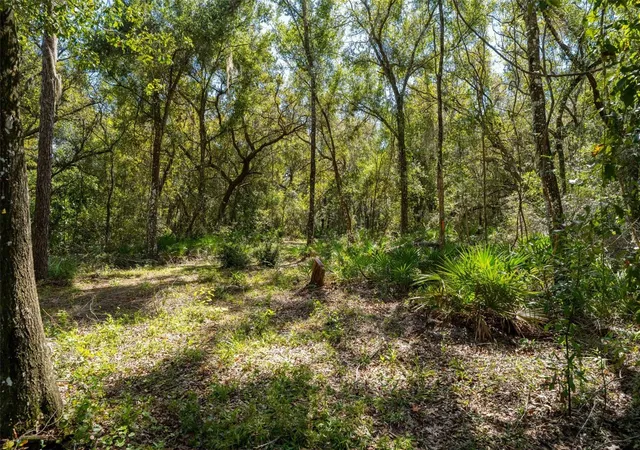 28th image of 11420 E Steamboat Dr, Floral City, FL 34436 | MLS# TB8435606