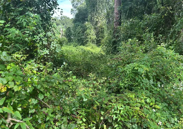 Photo 3 of Land for sale at 4014 SW 125th Avenue, Webster, FL 33597 | MLS# W7879710 | Listing updated on 2026-06-23