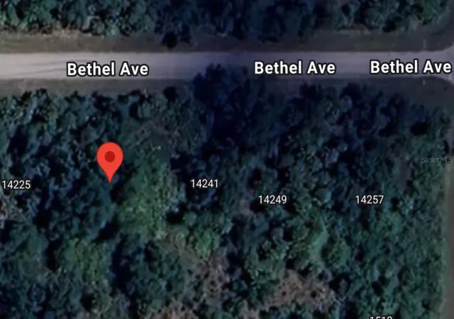 Photo 2 of Land for sale at 14233 Bethel Ave, Port Charlotte, FL 33953 | MLS# O6350972 | Listing updated on 2026-10-08