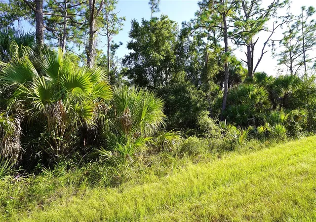 Photo 2 of Land for sale at 1294 Birch Ter, Port Charlotte, FL 33953 | MLS# C7516076 | Listing updated on 2026-10-07