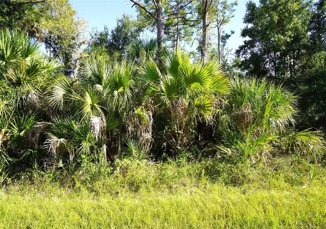 Photo 3 of Land for sale at 1294 Birch Ter, Port Charlotte, FL 33953 | MLS# C7516076 | Listing updated on 2026-10-07