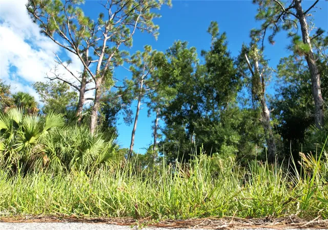 Photo 4 of Land for sale at 1294 Birch Ter, Port Charlotte, FL 33953 | MLS# C7516076 | Listing updated on 2026-10-07