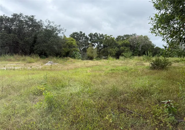 Photo 2 of Land for sale at 145 W Country Clb Dr, Tampa, FL 33612 | MLS# TB8436773 | Listing updated on 2026-06-23