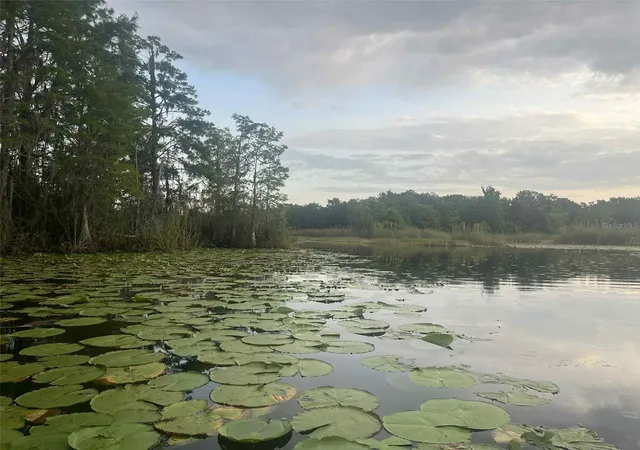 2nd image of 1135 N Jackadee Pt, Inverness, FL 34453 | MLS# TB8436945