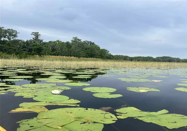 6th image of 1135 N Jackadee Pt, Inverness, FL 34453 | MLS# TB8436945