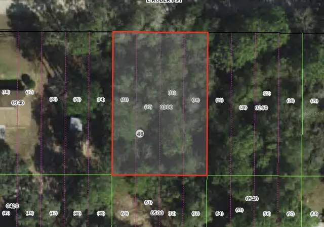 Photo 1 of Land for sale at 3046 E Robert St, Inverness, FL 34453 | MLS# OM711326 | Listing updated on 2025-10-21