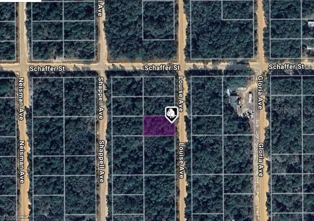 Photo 1 of Land for sale at Lot 22 Louise Ave, Interlachen, FL 32148 | MLS# OM711489 | Listing updated on 2026-10-13