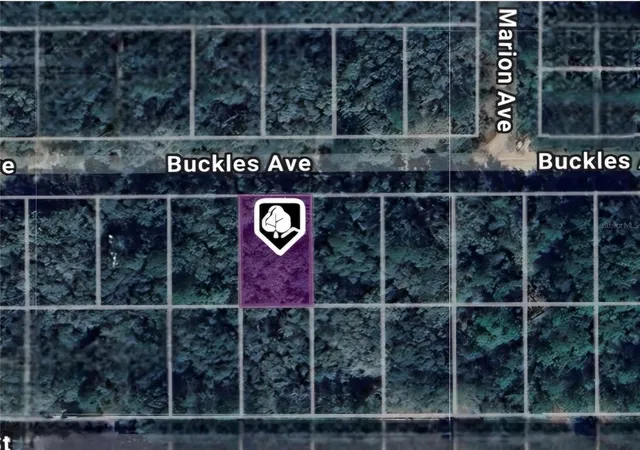 Photo 2 of Land for sale at Lot 8 Buckles Ave, Interlachen, FL 32148 | MLS# OM711492 | Listing updated on 2026-10-13