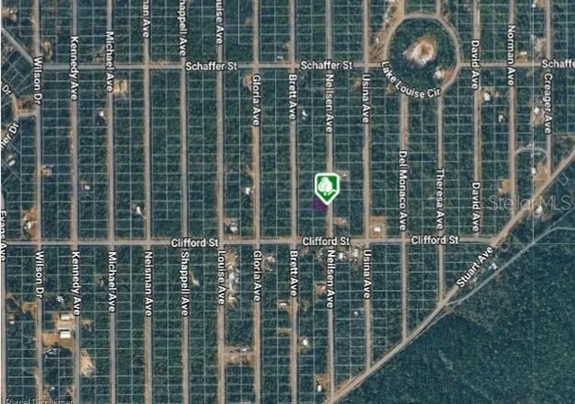 Photo 2 of Land for sale at Lot 22 Neilsen Ave, Interlachen, FL 32148 | MLS# OM711493 | Listing updated on 2026-10-13