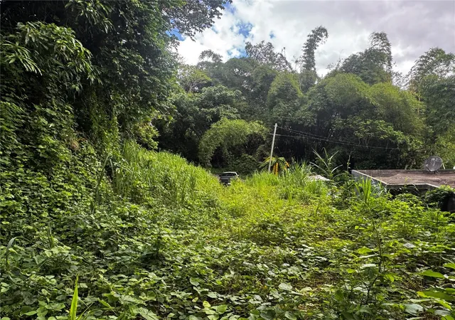 Photo 2 of Land for sale at Carr 181 Bo Masas Km 13 Hm2, Gurabo, PR 00778 | MLS# PR9116708 | Listing updated on 2026-10-15