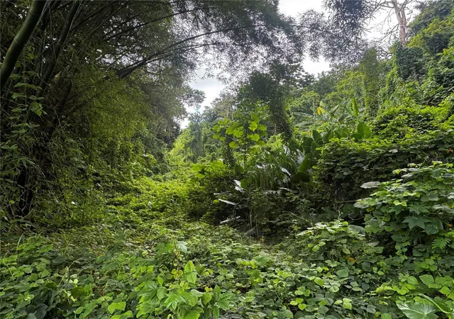 Photo 3 of Land for sale at Carr 181 Bo Masas Km 13 Hm2, Gurabo, PR 00778 | MLS# PR9116708 | Listing updated on 2026-10-15