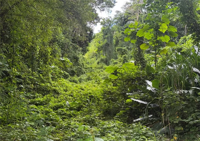 Photo 4 of Land for sale at Carr 181 Bo Masas Km 13 Hm2, Gurabo, PR 00778 | MLS# PR9116708 | Listing updated on 2026-10-15