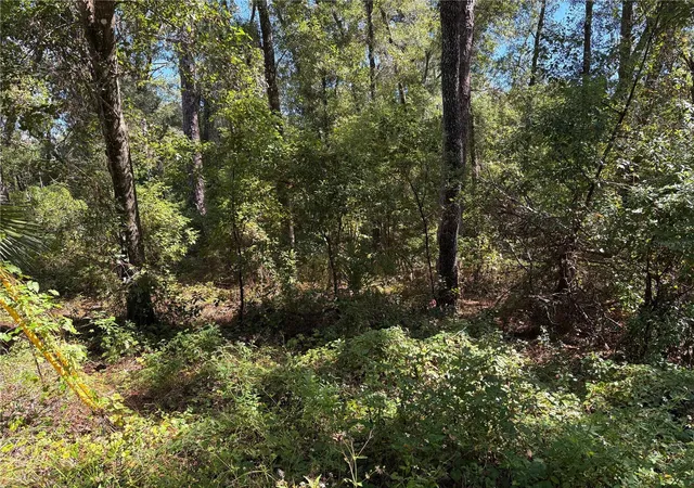 Photo 1 of Land for sale at 1228 Clover Ter, Inverness, FL 34452 | MLS# FC313423 | Listing updated on 2025-10-18