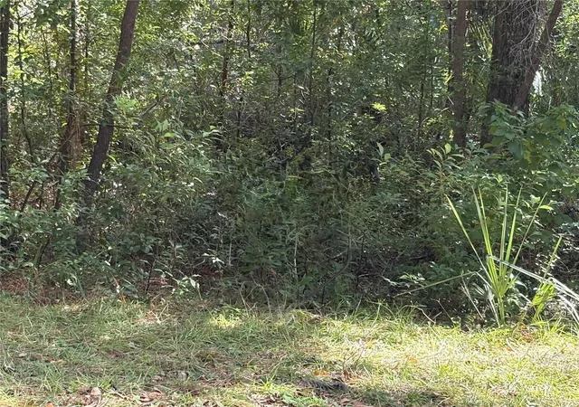 Photo 2 of Land for sale at 1228 Clover Ter, Inverness, FL 34452 | MLS# FC313423 | Listing updated on 2025-10-18