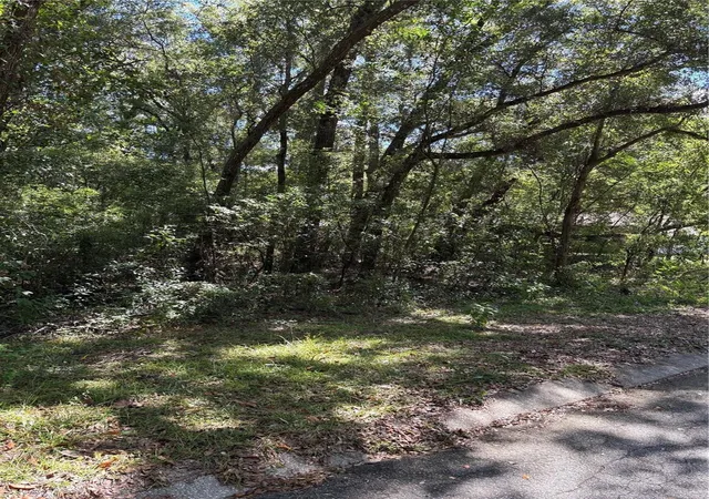 Photo 3 of Land for sale at 1228 Clover Ter, Inverness, FL 34452 | MLS# FC313423 | Listing updated on 2025-10-18