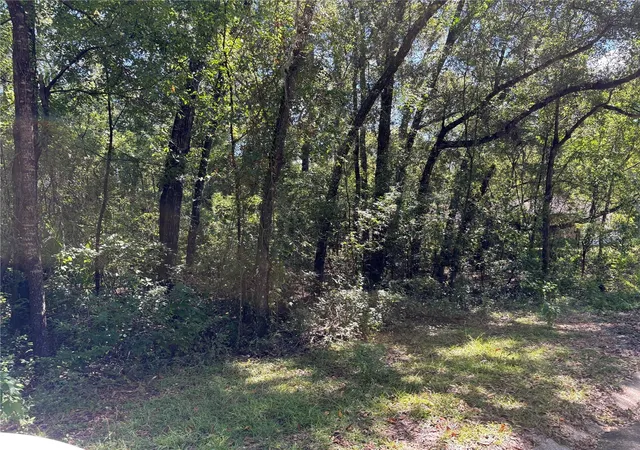 Photo 3 of Land for sale at 1228 Clover Ter, Inverness, FL 34452 | MLS# FC313423 | Listing updated on 2025-10-18