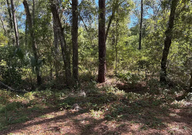 Photo 4 of Land for sale at 1228 Clover Ter, Inverness, FL 34452 | MLS# FC313423 | Listing updated on 2025-10-18