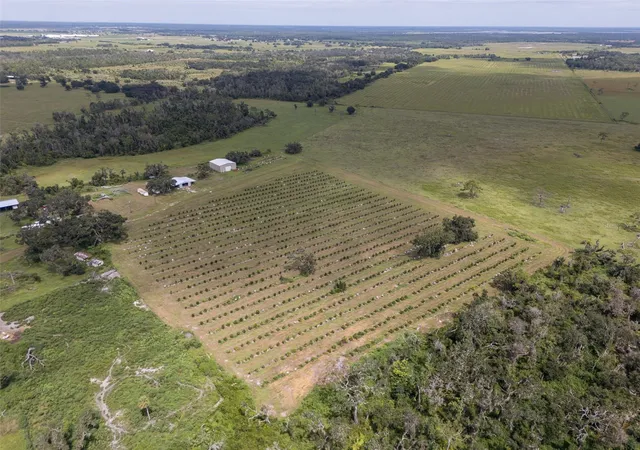 Photo 2 of Land for sale at 32715 Singletary Rd, Myakka City, FL 34251 | MLS# A4668501 | Listing updated on 2026-08-18