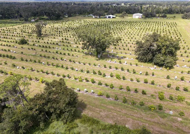 Photo 3 of Land for sale at 32715 Singletary Rd, Myakka City, FL 34251 | MLS# A4668501 | Listing updated on 2026-08-18
