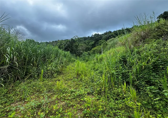 Photo 4 of Land for sale at Carr 181 Bo Masa Km 13 Hm 2, Gurabo, PR 00778 | MLS# PR9116718 | Listing updated on 2026-10-15