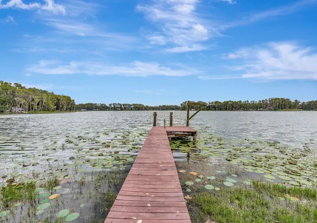 Photo 4 of Single family home for sale at 19207 Crooked Ln, Lutz, FL 33548 | MLS# TB8438183 | Listing updated on 2026-09-22