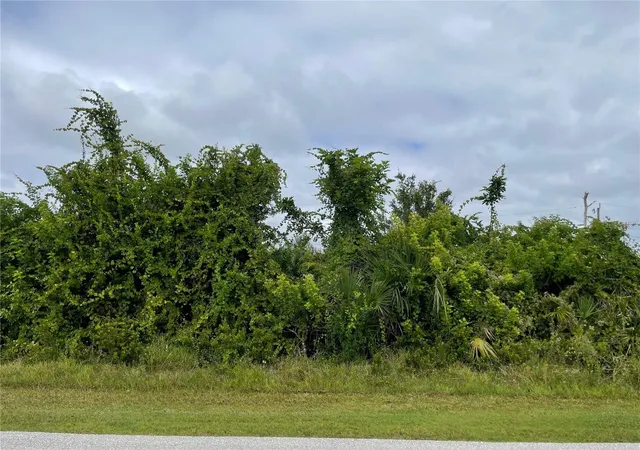 Photo 1 of Land for sale at 11216 Carnegie Ave, Englewood, FL 34224 | MLS# A4668572 | Listing updated on 2026-06-21