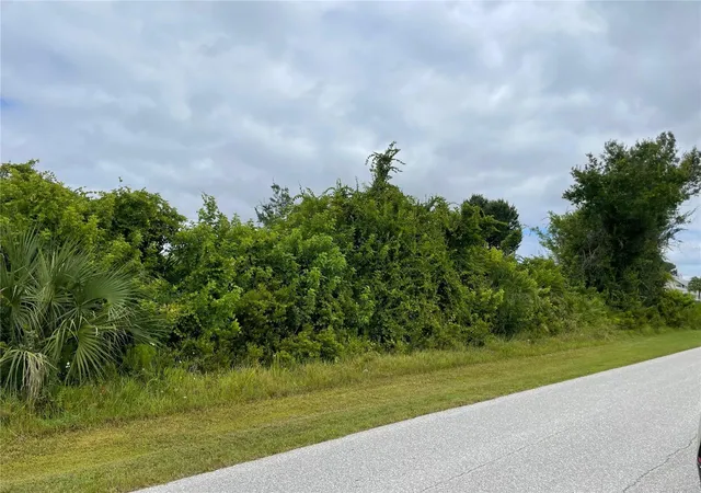 Photo 2 of Land for sale at 11216 Carnegie Ave, Englewood, FL 34224 | MLS# A4668572 | Listing updated on 2026-06-21
