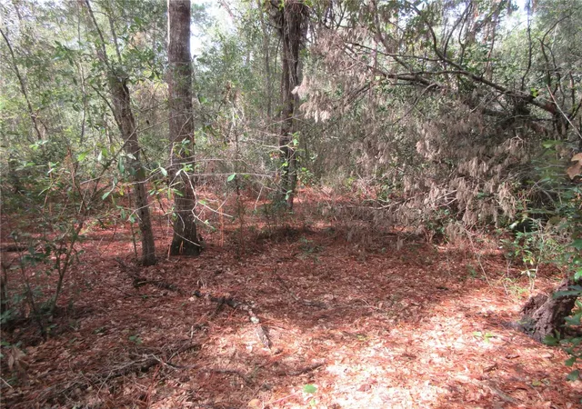 Photo 1 of Land for sale at Ne 171st Court, Silver Springs, FL 34488 | MLS# OM711563 | Listing updated on 2026-07-02