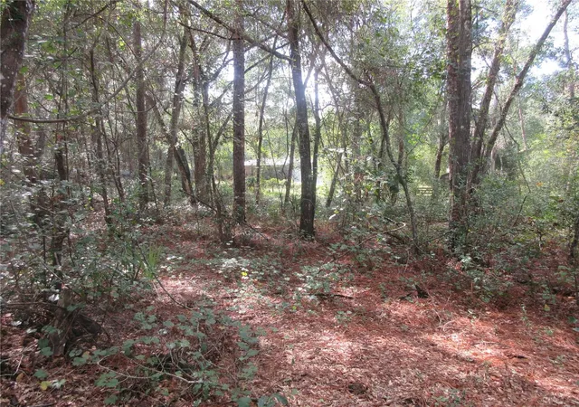 Photo 2 of Land for sale at Ne 171st Court, Silver Springs, FL 34488 | MLS# OM711563 | Listing updated on 2026-07-02