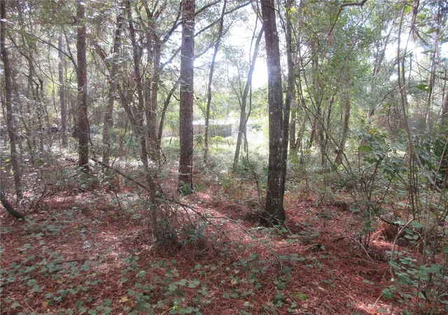 Photo 3 of Land for sale at NE 171st Court, Silver Springs, FL 34488 | MLS# OM711563 | Listing updated on 2026-07-02