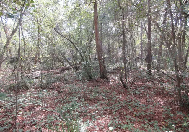 Photo 4 of Land for sale at NE 171st Court, Silver Springs, FL 34488 | MLS# OM711563 | Listing updated on 2026-07-02