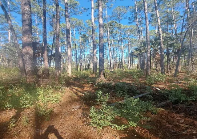 Photo 3 of Land for sale at 5146 Lime Ave, Bunnell, FL 32110 | MLS# V4945427 | Listing updated on 2026-10-23