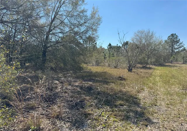 Photo 3 of Land for sale at 0 Lake Buffum Rd, Lake Wales, FL 33859 | MLS# TB8438499 | Listing updated on 2026-08-12