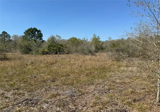 Photo 4 of Land for sale at 0 Lake Buffum Rd, Lake Wales, FL 33859 | MLS# TB8438499 | Listing updated on 2026-08-12