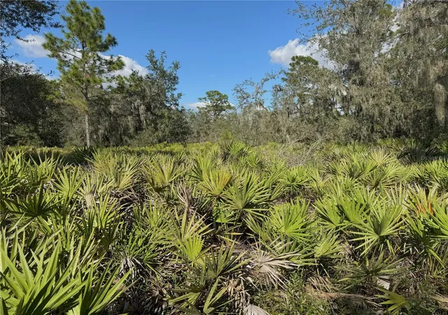 3rd image of 0 Alturas Babson Park Cut Off Rd, Bartow, FL 33830 | MLS# TB8438524