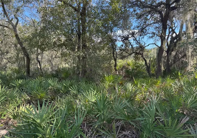 4th image of 0 Alturas Babson Park Cut Off Rd, Bartow, FL 33830 | MLS# TB8438524