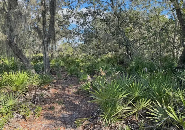 5th image of 0 Alturas Babson Park Cut Off Rd, Bartow, FL 33830 | MLS# TB8438524