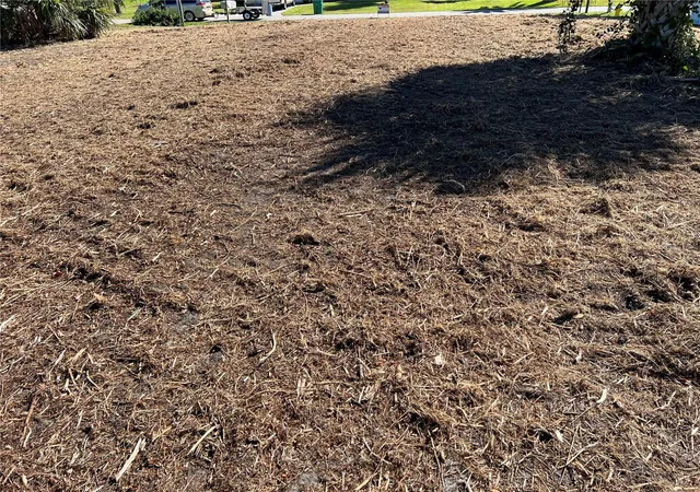 Photo 3 of Land for sale at 145 Robina St, Port Charlotte, FL 33954 | MLS# C7516401 | Listing updated on 2026-04-24