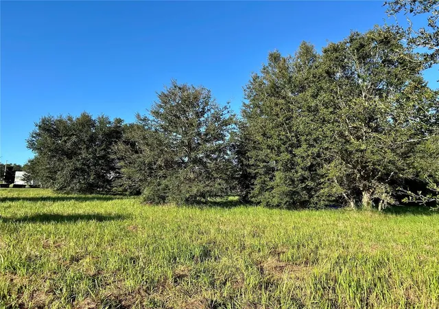 Photo 2 of Land for sale at South 1st Ave, Wauchula, FL 33873 | MLS# L4956646 | Listing updated on 2026-09-21