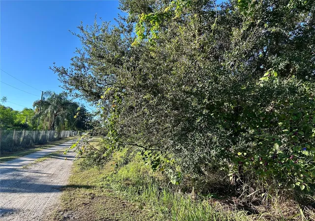Photo 3 of Land for sale at South 1st Ave, Wauchula, FL 33873 | MLS# L4956646 | Listing updated on 2026-09-21