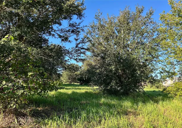 Photo 4 of Land for sale at South 1st Ave, Wauchula, FL 33873 | MLS# L4956646 | Listing updated on 2026-09-21