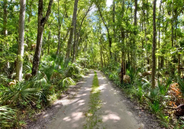 1st image of Pine Island Dr, Weeki Wachee, FL 34613 | MLS# TB8438921